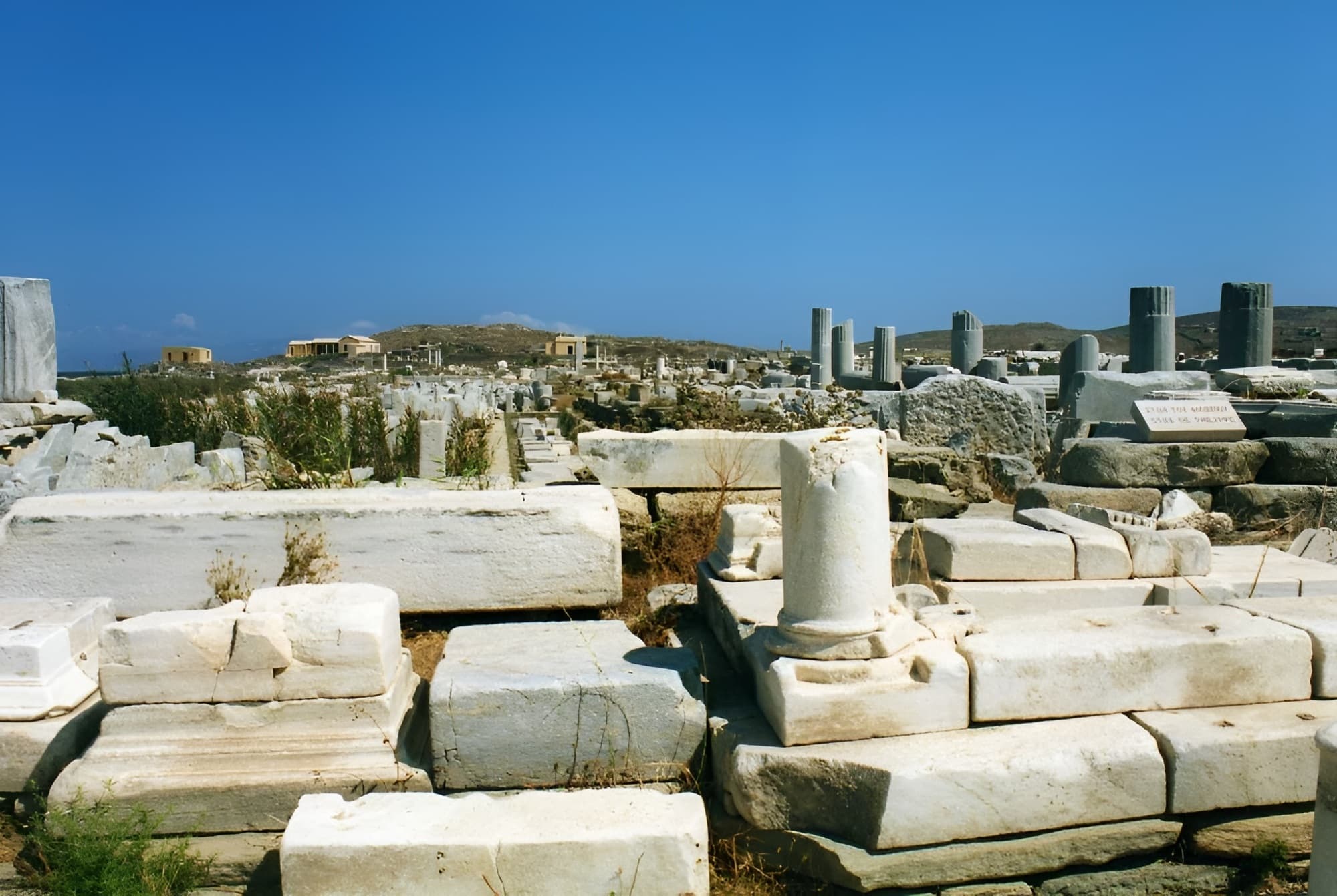 DELOS