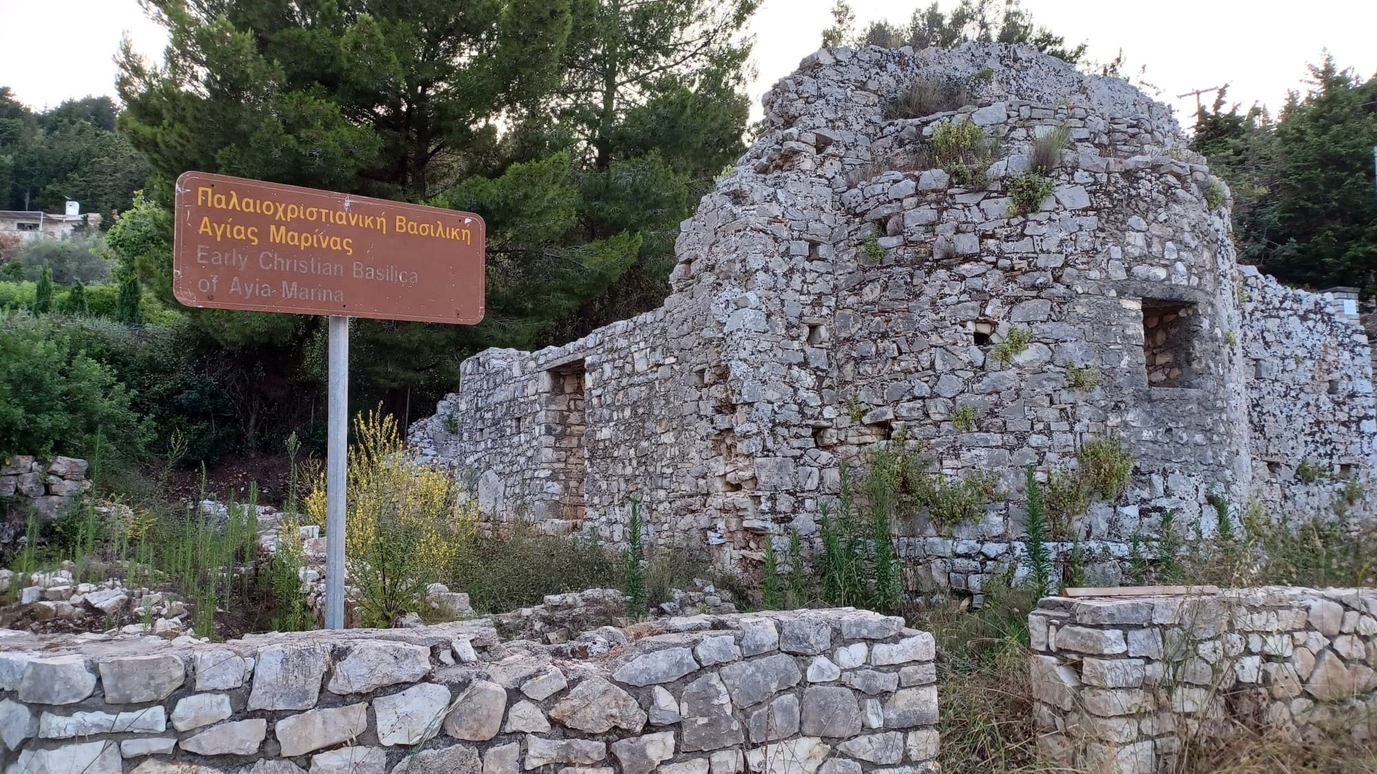 VASILIKI