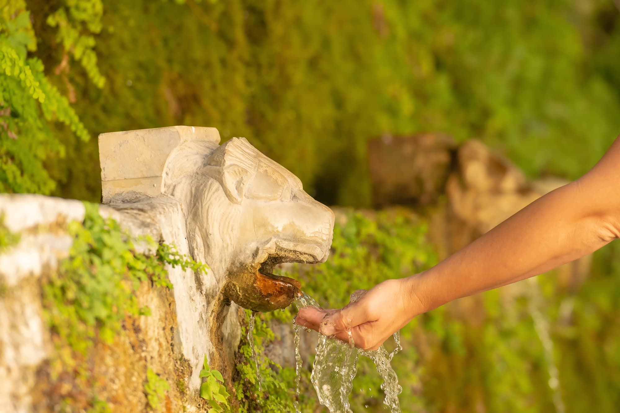 ARCHAELOGICAL SITES