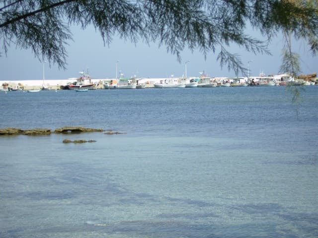 plaka agios stefanos beach