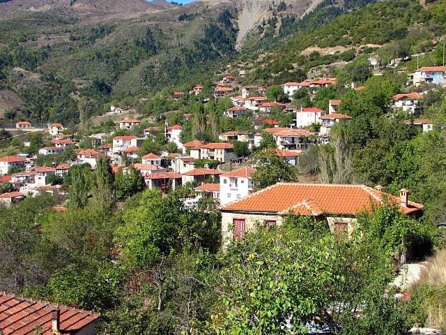 μερική άποψη