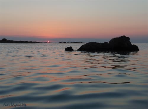 ×ÁÍÉÁ ÅËÁÖÏÍÇÓÉ