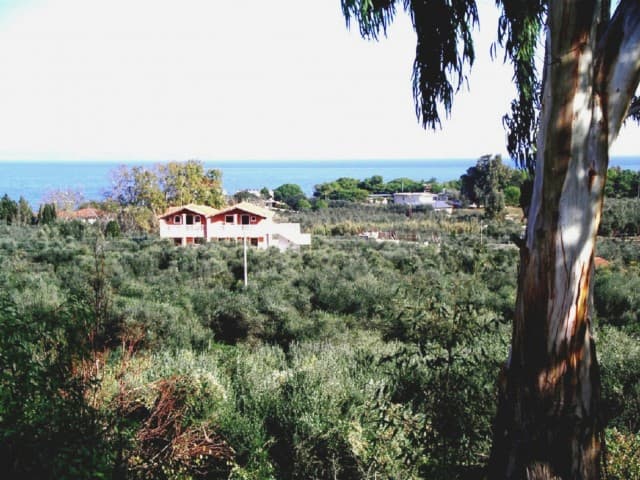 Vassilikos nature
