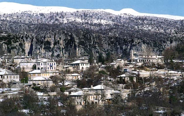 MONODENDRI