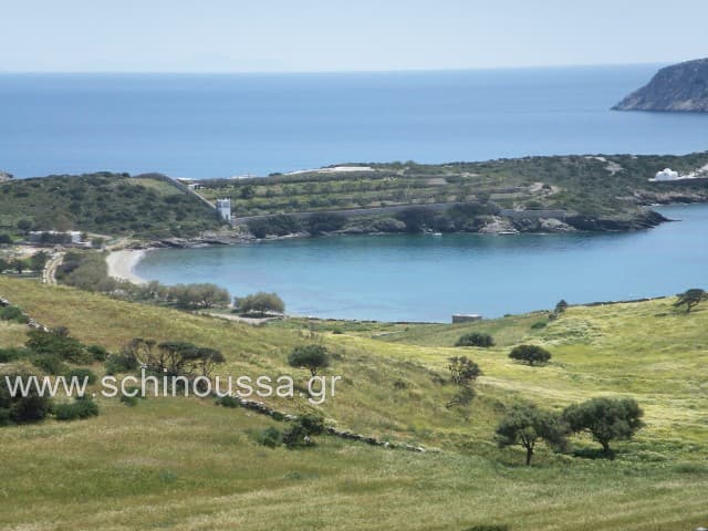 Livadi beach | Schinoussa